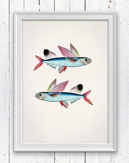 Flying Fish Stampa pesce di mare - A4 Bianco 8,2x11,6