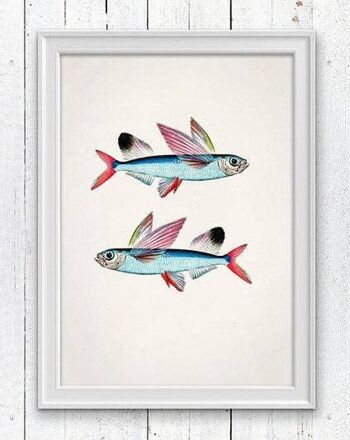 Impression de poissons de mer poisson volant - A5 blanc 5,8 x 8,2 (sans cintre) 1
