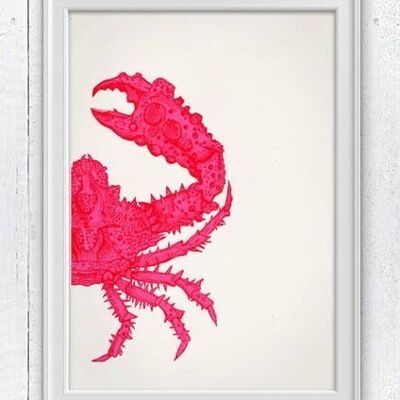 Fuchsia crab sea life print - A3 White 11.7x16.5 (No Hanger)