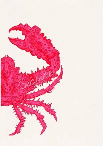 Affiche vie marine crabe fuchsia - A4 Blanc 8.2x11.6 2