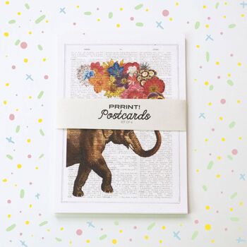 Ensemble de cartes de Noël amusantes - Cartes postales d'animaux - Ensemble de 6 - Cartes de voeux d'animaux - Cartes postales - Carte d'éléphant - Cartes de hibou - PSC001 4