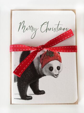 Cartes d'animaux de Noël amusantes - Cartes de remerciement - Lot de 5 - Cartes de vœux pour animaux - Cartes pliées - Cartes de vœux de Noël - NTC014 2
