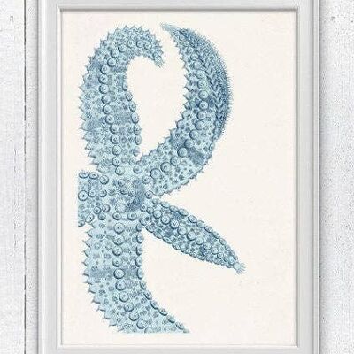 Giant Blue Starfish - A3 White 11.7x16.5 (No Hanger)