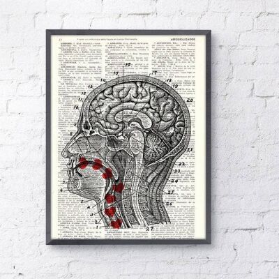 Gift for her Christmas Gift Doctor gift Upcycled Dictionary Page Book Art Sweet Taste of my Babys Love - Human Head Cross Section SKA041 - Book Page L 8.1x12 (No Hanger)