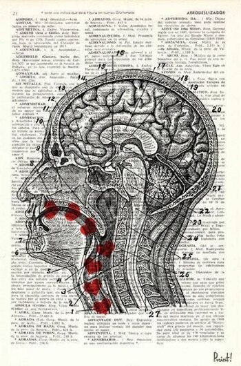 Cadeau pour elle Cadeau de Noël Cadeau de médecin Livre de page de dictionnaire recyclé Art Doux goût de mon amour de bébé – Coupe transversale de la tête humaine SKA041 – A3 Blanc 11,7 x 16,5 (sans cintre) 4