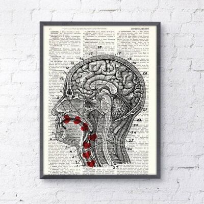 Cadeau pour elle Cadeau de Noël Cadeau de docteur Page de dictionnaire recyclé Art Doux goût de mon amour de bébé – Coupe transversale de la tête humaine SKA041 – A4 Blanc 8,2 x 11,6 (sans cintre)