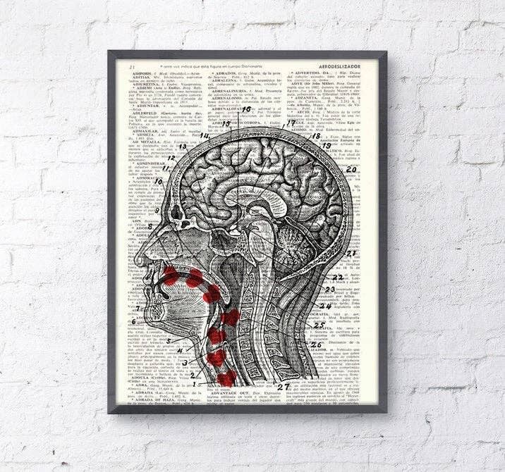 Cadeau pour elle Cadeau de Noël Cadeau de médecin Livre de page de dictionnaire recyclé Art Doux goût de mon amour de bébé – Coupe transversale de la tête humaine SKA041 – A5 Blanc 5,8 x 8,2 (sans cintre)