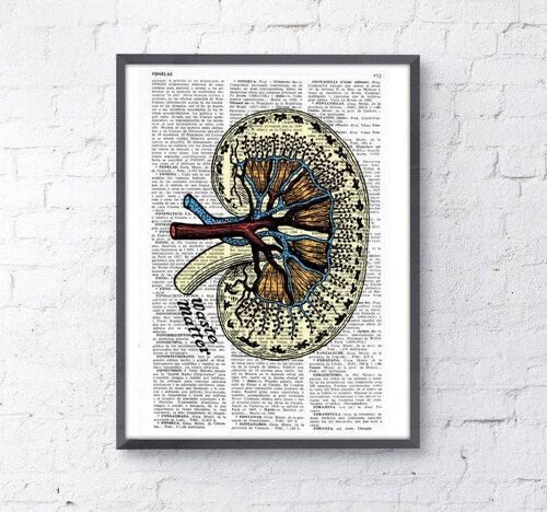 Gift for her Wall art print Dictionary Page Anatomy Kidney Print on Vintage altered art dictionary page illustration book print art SKA042 - Book Page M 6.4x9.6 (No Hanger)