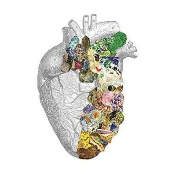 Cadeau pour elle, Coeur humain minéralisé, Impression d'anatomie, Coeur anatomique, Cadeau étudiant en sciences, Art minéral, Cadeau étudiant en médecine, SKA128SQ1 - Carré 12x12 2