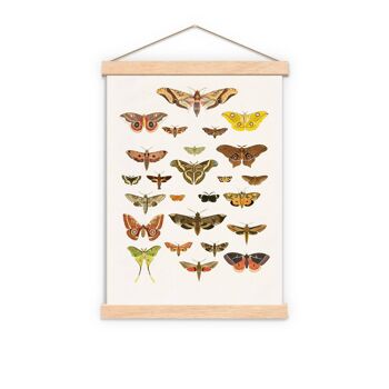 Cadeau pour elle, Moth Art Print - Butterfly Wall Art - Moth Nature Wall Art - Educational Print - Moth Wall Print - Moth Study - BFL229PA3 (No Hanger) 1