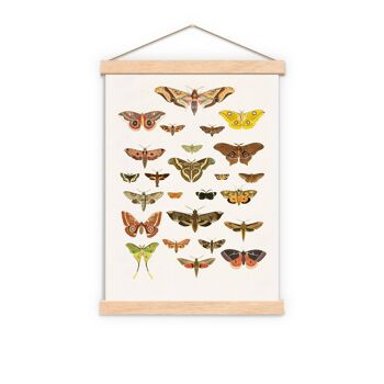 Cadeau pour elle, Moth Art Print - Butterfly Wall Art - Moth Nature Wall Art - Educational Print - Moth Wall Print - Moth Study - BFL229PA3 1