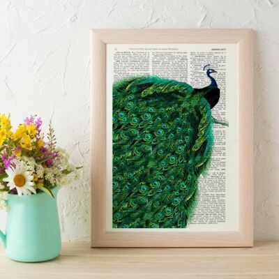 Gift for Her, New home gift, Christmas Gifts, Beautiful Peacock with endless tail wall, Housewarming art for New home, Nature art ANI149 - Book Page L 8.1x12
