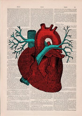 Cadeau pour elle, impression d'art mural, art mural coeur humain, coeur anatomique, cadeau de graduation en médecine, impression jet d'encre, cadeau étudiant en sciences, SKA057 - Page de livre L 8.1x12 (sans cintre) 3