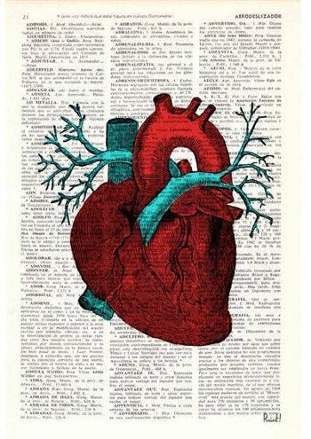 Cadeau pour elle, impression d'art mural, art mural coeur humain, coeur anatomique, cadeau de graduation en médecine, impression jet d'encre, cadeau étudiant en sciences, SKA057 - Page de livre L 8.1x12 (sans cintre) 4