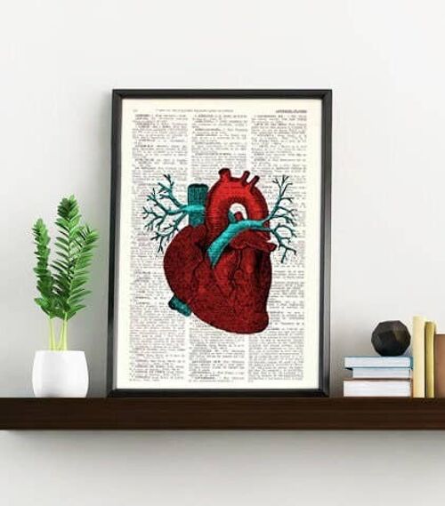 Gift for her, Wall art print, Human Heart Wall art, Anatomical heart, Medicine graduation gift, Giclee print, Science student gift, SKA057 - A4 White 8.2x11.6 (No Hanger)