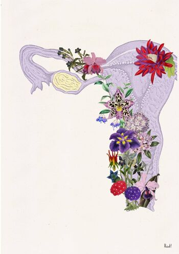 Idée cadeau - Cadeau sœur - Impression demi-utérus violet - Cadeau de grossesse - Art mural féministe - Impression anatomie - Cadeau femme - Cadeau OBGIN - SKA250 - A4 Blanc 8.2x11.6 3