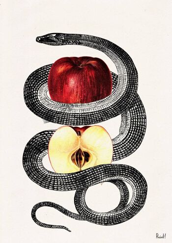 Idée cadeau, cadeau pour elle, Svg de Noël, cadeaux de Noël, cadeau de docteur Red Temptation Snake et Apple Wall art print ANI202WA4 - A3 White 11.7x16.5 3