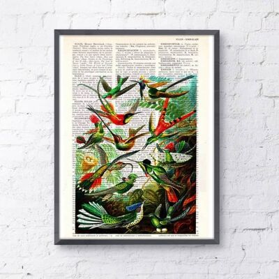 Cadeau, cadeau pour la maison, cadeau pour lui, cadeaux de Noël, colibris, art mural, décoration murale, art cadeau pour la maison, art mural de chambre d'enfant, impressions, ANI110 - Page de livre S 5x7 (sans cintre)