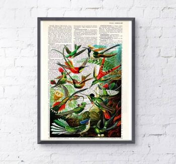 Cadeau, cadeau pour la maison, cadeau pour lui, cadeaux de Noël, colibris, art mural, décoration murale, art cadeau pour la maison, art mural de chambre d'enfant, impressions, ANI110 - Page de livre S 5x7 (sans cintre) 1