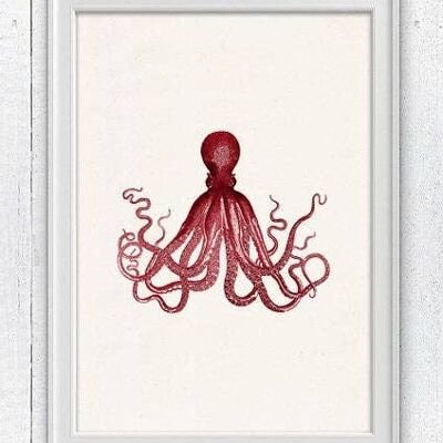 Gorgeous Red octopus no.16 - A3 White 11.7x16.5 (No Hanger)