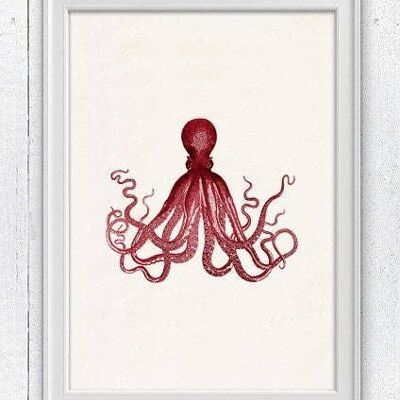 Wunderschöner roter Oktopus Nr. 16 - A3 Weiß 11,7 x 16,5