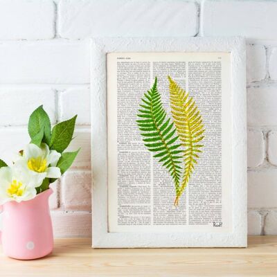 Green fern n02 Art Print - Book Page L 8.1x12 (No Hanger)