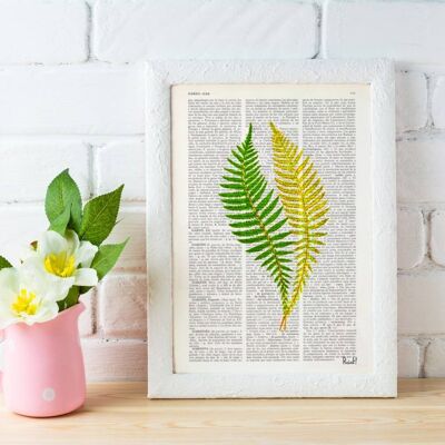 Green fern n02 Art Print - Book Page M 6.4x9.6 (No Hanger)