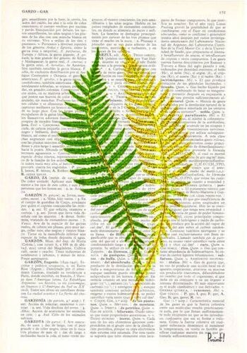 Fougère verte n02 Art Print - livre Page S 5 x 7 (sans cintre) 3