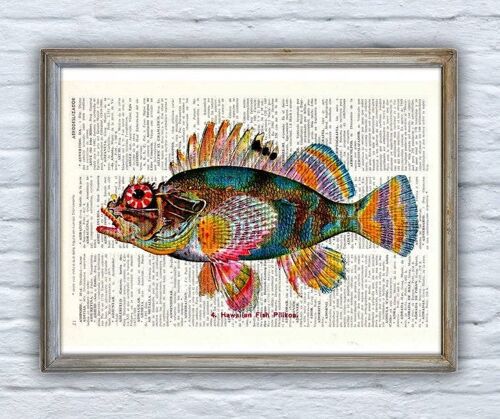 Hawaiian Fish (Pilikoa) Print - Book Page S 5x7