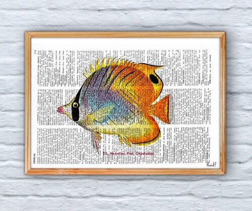 Hawaiian Fish Art Print - Book Page M 6.4x9.6