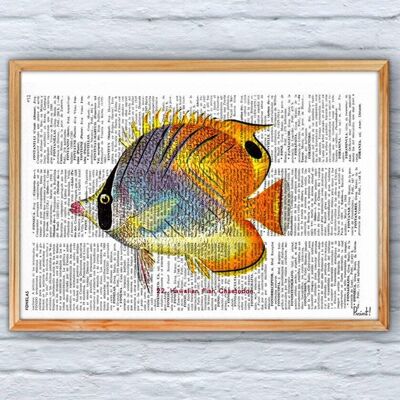 Hawaiian Fish Art Print - Book Page M 6.4x9.6