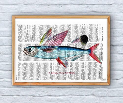 Hawaiian Flying Fish - Book Page S 5x7