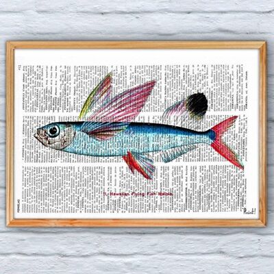 Hawaiian Flying Fish - Book Page L 8.1x12