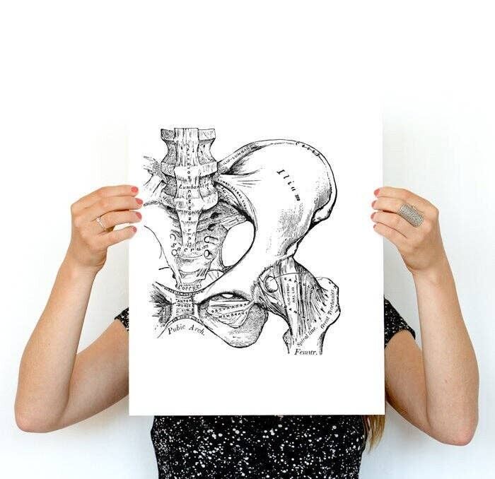 Stampa artistica dell'anca, dettaglio del bacino delle ossa umane, stampa d'arte anatomica, arte della parete della terapia, regalo del medico, arte della parete dell'ufficio, arte anatomica, SKA025WA4 - A3 bianco 11,7 x 16,5