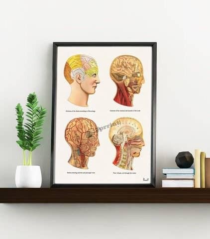 Regalo di casa, regalo di Natale fidanzato, Natale in formato Svg, regalo per il suo regalo di Natale Wall art stampa anatomiche teste umane wall decor SKA200WA4 - A3 bianco 11,7 x 16,5