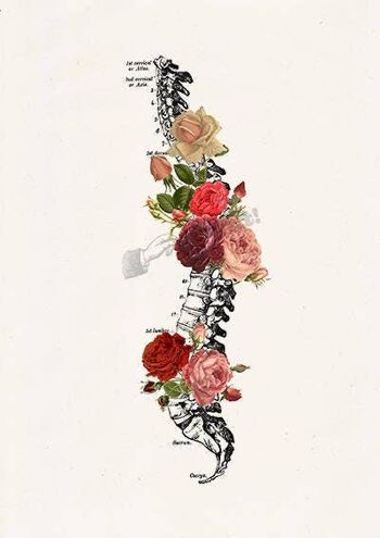 Cadeau pour la maison, cadeau de Noël Noël Svg, cadeau pour elle cadeau de Noël Wall Art Print Springtime Roses Spine Anatomical Wall Art SKA137WA4 - A5 White 5.8x8.2 (No Hanger) 2