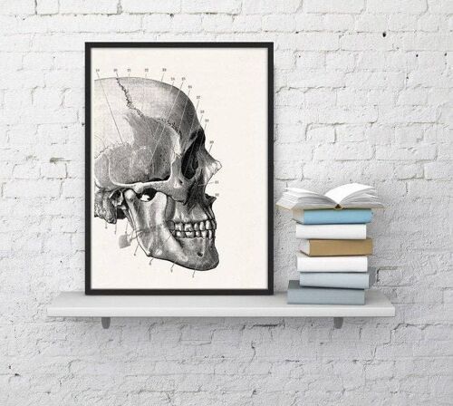 Home Gift, Christmas GiftWall Art Print Human Skull Detail, Anatomy Art, Wall Art Decor, Anatomy, Medical Gift, Gift for Doctor SKA012WA4 - A5 White 5.8x8.2 (No Hanger)