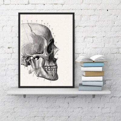 Regalo per la casa, regalo di NataleWall Art Print Human Skull Detail, Anatomy Art, Wall Art Decor, Anatomy, Medical Gift, Gift for Doctor SKA012WA4 - A5 White 5.8x8.2 (No Hanger)