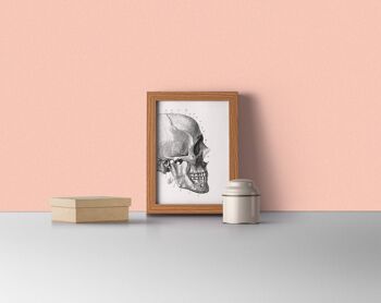 Cadeau pour la maison, cadeau de Noël Impression d'art mural Détail du crâne humain, Art de l'anatomie, Décoration murale, Anatomie, Cadeau médical, Cadeau pour le docteur SKA012WA4 - Blanc 8 x 10 (sans cintre) 4