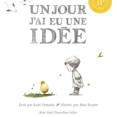 LIBRO - LAS PEQUEÑAS HISTORIAS - Un día tuve una idea