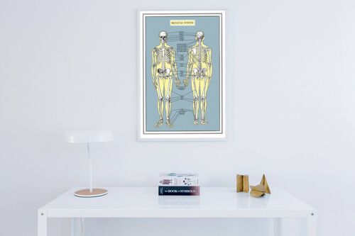 Home Gift, Wall Hanging Art Skeleton System Anatomy Wall Art - Skeleton Bones Wall Art - Anatomical Decor - Anatomy Print - SKA253WA3 (No Hanger)