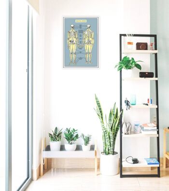 Cadeau pour la maison, Tenture murale Art Squelette Système Anatomy Wall Art - Skeleton Bones Wall Art - Décor Anatomique - Anatomie Print - SKA253WA3 (Pas de Cintre) 3