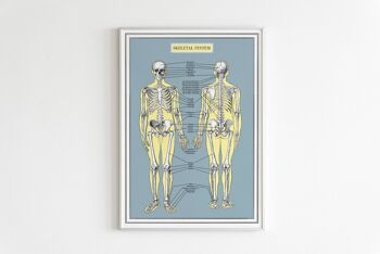 Cadeau pour la maison, Tenture murale Art Squelette Système Anatomy Wall Art - Skeleton Bones Wall Art - Décor Anatomique - Anatomie Print - SKA253WA3 (Pas de Cintre) 4