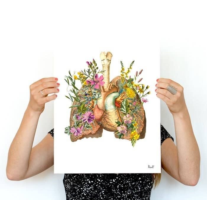 Regalo per la casa - Regalo di Natale - Cuore anatomico - Polmone del fiore - Stampa artistica di anatomia - Arte medica - Poster di anatomia - Regalo di scienza - SKA099 - A4 bianco 8,2 x 11,6