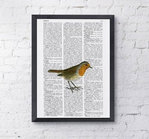 Home Gift, Christmas Gifts, Cute Robin, Wall Art, Wall Decor, Gift Art for Home, Nursery wall art, Prints, Robin prints, ANI182 - Book Page S 5x7