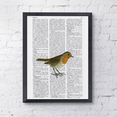 Home Gift, Christmas Gifts, Cute Robin, Wall Art, Wall Decor, Gift Art for Home, Nursery wall art, Prints, Robin prints, ANI182 - Book Page S 5x7