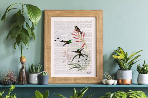 Home gift, Christmas Gifts, Hummingbirds on flowers, Wall art, Wall decor, Housewarming Gift, Art for Home, Nature wall art, Prints, ANI117 - Book Page L 8.1x12 (No Hanger)