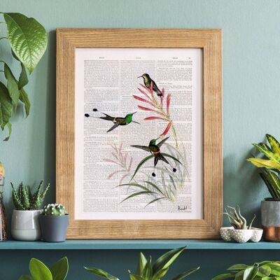 Home gift, Christmas Gifts, Hummingbirds on flowers, Wall art, Wall decor, Housewarming Gift, Art for Home, Nature wall art, Prints, ANI117 - Book Page L 8.1x12 (No Hanger)