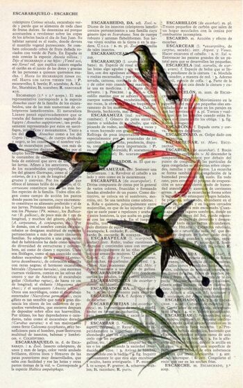 Cadeau pour la maison, Cadeaux de Noël, Colibris sur fleurs, Art mural, Décoration murale, Cadeau de pendaison de crémaillère, Art pour la maison, Art mural nature, Impressions, ANI117 - Page de livre M 6.4x9.6 (No Hanger) 4