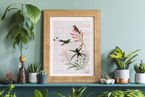 Home gift, Christmas Gifts, Hummingbirds on flowers, Wall art, Wall decor, Housewarming Gift, Art for Home, Nature wall art, Prints, ANI117 - A4 White 8.2x11.6